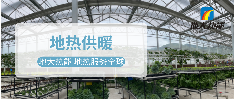 發(fā)揮地?zé)豳Y源優(yōu)勢(shì)，地?zé)徂r(nóng)業(yè)實(shí)現(xiàn)花卉產(chǎn)業(yè)特色發(fā)展 | 地大熱能 地?zé)岱?wù)全球